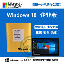 微软正版win10系统windows10企业版专业版SAC/LTSB/中英文/实物光盘/64位 含专票 win10企业版实物+U盘