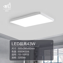 飞利浦(PHILIPS)led吸顶灯简约现代超薄客厅灯方形品亮餐厅北欧卧室灯具特惠 品亮43W（6500K白光）长方形