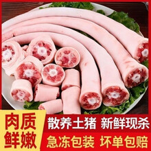 农家溜达放养土猪肉猪尾巴新鲜长尾巴人工宰杀整根冷冻批发一整箱 土猪 山林散养土猪【中尾四斤】