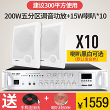 先科壁挂音响音箱室内无线蓝牙套装背景音乐公共广播商铺超市餐厅悬挂壁式天花吸顶服装奶茶店 200W五分区功放+15W壁挂10个（300平）