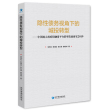 隐性债务视角下的城投转型--中国地方政府投融资平台转型发展研究2019