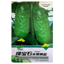 苏瑞 蔬菜种子四季手捻葫芦阳台盆栽农家春季黄瓜玉米辣椒葱观赏椒西红柿番茄种籽孑 水果黄瓜