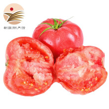 普罗旺斯西红柿 4.5斤装 沙瓤西红柿自然成熟番茄 新鲜蔬菜水果