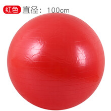 大龙球幼儿园感统训练器材早教瑜伽球家用按摩球儿童触觉球平衡球 100cm大龙球（红色）