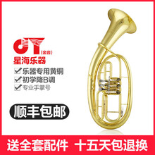 金音 JYBT-E110 扁键三键 次中音号 降B调 大抱号成人学生舞台演奏乐队演奏乐器