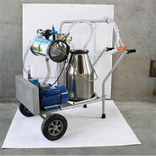 家用电动真空脉动脉冲奶牛挤奶机奶羊挤奶器吸奶机器牛羊用挤奶机 不锈钢单桶中配羊用