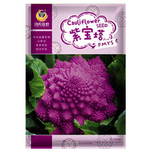 紫色花椰菜 价格 图片 品牌 怎么样 京东商城