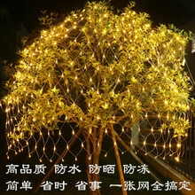 LED网灯格子彩灯闪灯串灯渔网灯圣诞防水灯串装饰窗帘灯网状彩灯 彩色-2米X3米320灯