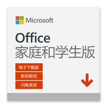 咚咚自动发送密钥 正版微软office365激活码办公软件密钥 office2019终身永久版 Office2019家庭学生版 Mac/win10