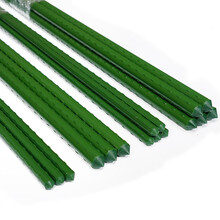 田田绿 种菜架子爬藤架园艺花支架楼顶花园阳台花爬架植物番茄豆角黄瓜架 5根直径11MM 长150CM