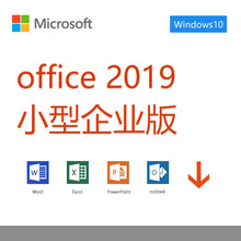 微软办公软件正版office2019小型企业版 实物盒装支持多国语言 企业正版化无优 专用发票 Office2019专业增强版电子版Win版