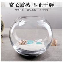 宝贝故事 小鱼缸 小型水族箱办公室桌面创意圆形玻璃小鱼缸迷你金鱼缸 30cm圆球（裸缸）