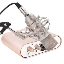 iSK BM-800直播声卡套装  电脑手机通用变声网络k歌喊麦主播直播录音设备全套BM-800+ Uports2  live