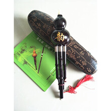 葫芦丝乐器初学入门降b调小学生c调防摔胡芦丝演奏型 升级款降b调+皮盒+教材+