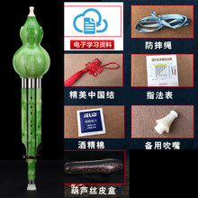 胶木耐摔葫芦丝初学者中小学生c调大人降b调乐器 翡翠绿降B【礼包+皮盒