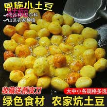 恩施富硒小土豆湖北三峡特产高山新鲜黄心迷你洋芋马铃薯农家蔬菜 5斤现挖 店长推荐 精选装【拳头大小】优先发货