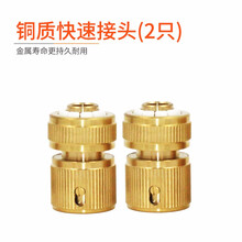 亿力 洗车机配件 自吸专用排气阀 水龙头水管多功能接头快速插接头过滤螺母 双向接头  铜质螺纹接头 铜质快速接头(两只)