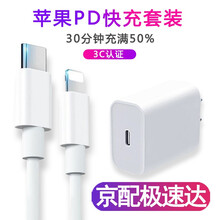 技格 快充PD套装充电器18W数据线适用苹果iphone11ProMax/X/XR/XS/11/12 （数据线+充电器）套装