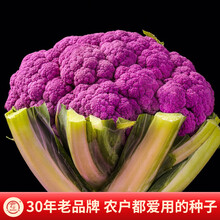 紫色花椰菜 价格 图片 品牌 怎么样 京东商城