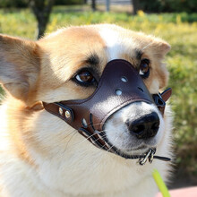 狗狗嘴套子狗嘴口罩防咬防叫中大型犬金毛狗嘴罩狗嘴套可喝水 棕色PU皮 XL（75-110斤）