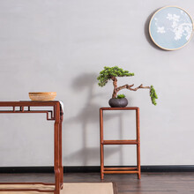 代代传红木家具缅甸花梨（学名：大果紫檀）花架实木新中式客厅装饰架落地花架展示架金钱中式花架 独板素面花几