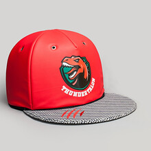 爱旺猫窝网红秋冬季猫咪用品半封闭式可拆洗球型狗窝小型犬泰迪潮 红色棒球帽