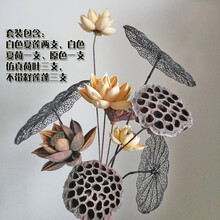 天然干莲蓬荷花摆件组合禅意干花插花花束客厅复古松果红色风干莲花 套餐2 干花包
