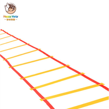 幼儿园早教儿童感统器材体能训练跳房子户外亲子玩具跳格子敏捷梯 敏捷梯（6米12节）