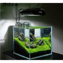 养乌龟的玻璃缸超白鱼缸水族箱生态缸cm厘米方缸热弯缸 直角超白50*26*30送七