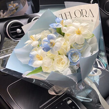 #RemHtml($!{product.content.wareName})