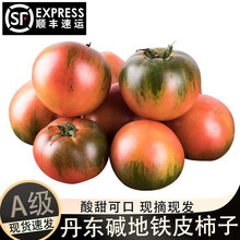 京蚨鲜辽宁丹东铁皮柿子盘锦碱地西红柿新鲜绿腚鹰爪番茄蔬菜 净重 3斤 【实惠装】