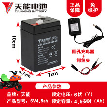 天能电瓶6V4.5ah童车蓄电池电子秤6伏儿童电动玩具甲壳虫摩托车汽车电瓶3-FM-4.5/20HR 天能6V4.5ah-重约0.75kg（送充电器）