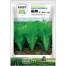 中科茂华 蔬菜种子 碧绿小白菜种子无刺无绒毛青菜种子 四季小青菜 绿叶绿帮 叶柄亮度高 阳台庭院种植 寒青小白菜500粒/袋【耐寒型】