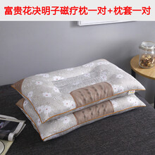 枕头单人双人决明子整头枕芯一对装带枕套家用护颈枕忱头 富贵花枕头一对【送枕套】PP