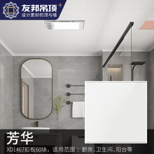 友邦（YOUPON）集成吊顶 5.4平和系列 铝扣板厨房卫浴套餐  高品质扣板模块 XD1467(含辅材)