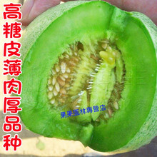 超甜绿宝甜瓜种苗冰翡翠甜瓜种籽甜瓜种子春季四季水果种孑 冰糖翡翠甜瓜(50粒原装)
