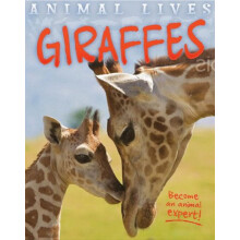 Animal Lives: Giraffe