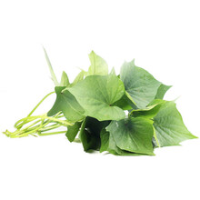 【现货】特心鲜 现采现发 新鲜红薯叶 地瓜叶番薯叶 500g