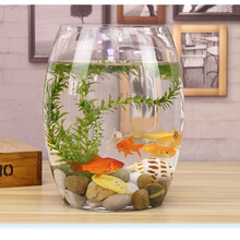 创意桌面鱼缸生态圆形玻璃金鱼缸乌龟缸迷你小型造景家用水族箱 35号炮+石子+假草+鱼食+渔捞