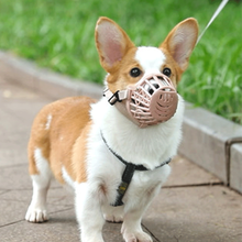 OLOEY狗狗嘴套防咬叫乱吃口罩小型大型犬宠物止吠器泰迪用品狗套笼狗罩 1号（6斤左右） 尼龙绑带