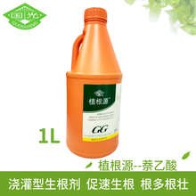 国光植根源1升 5%萘乙酸 国光萘乙酸水剂 国光生根剂 浇灌型生根液植物生根剂大树移栽花卉苗木扦插 国光植根源1L