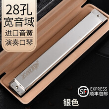 德国进口音簧Easttop28孔宽音域#ABCDEFG复音重音口琴高级成人专业演奏口琴乐器 复音银色#C调