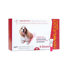 大宠爱驱虫药  狗狗猫猫宠物体内体外驱虫药 犬猫通用打虫药 犬用6支整盒10.1-20kg