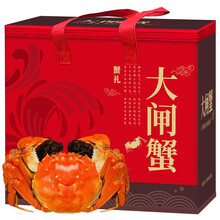 【活蟹】蟹友汇 六月黄大闸蟹鲜活螃蟹现货 3.2-3.5两 8只装