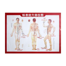 人体穴位图 京东商城