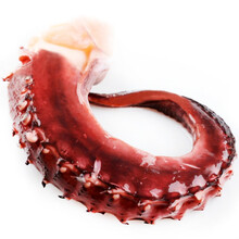 【大个头 空运直达】丰度 青岛新鲜章鱼足 1000g 袋装 八爪鱼刺身海鲜三文鱼拼盘生鱼片生鲜