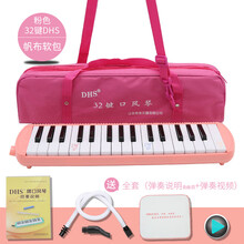 奇美DHS口风琴32键37键儿童男/女孩中小学生用老师课堂教学口吹琴 32键粉色【赠送全套赠品】