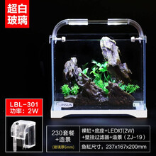 森森鱼缸小型鱼缸超白玻璃鱼缸桌面鱼缸生态缸水草缸金鱼缸水族箱 超白缸23cm长+过滤器+LED灯+假山造景+小号