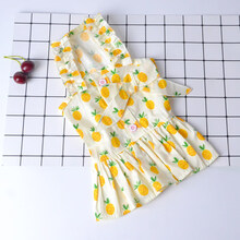 【新品】网红泰迪裙子狗狗衣服春装博美猫咪宠物狗公主裙春秋薄款小狗猫咪衣服 黄色菠萝 XL【建议9-13斤】