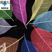 树叶叶脉标本 价格 图片 品牌 怎么样 京东商城